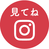 instagram link